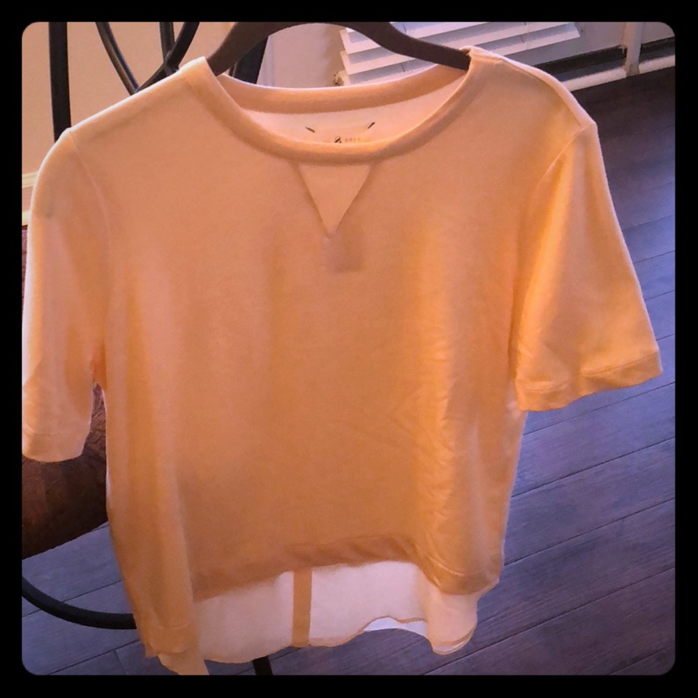 Lou & Grey sweatshirt top with sheer tail